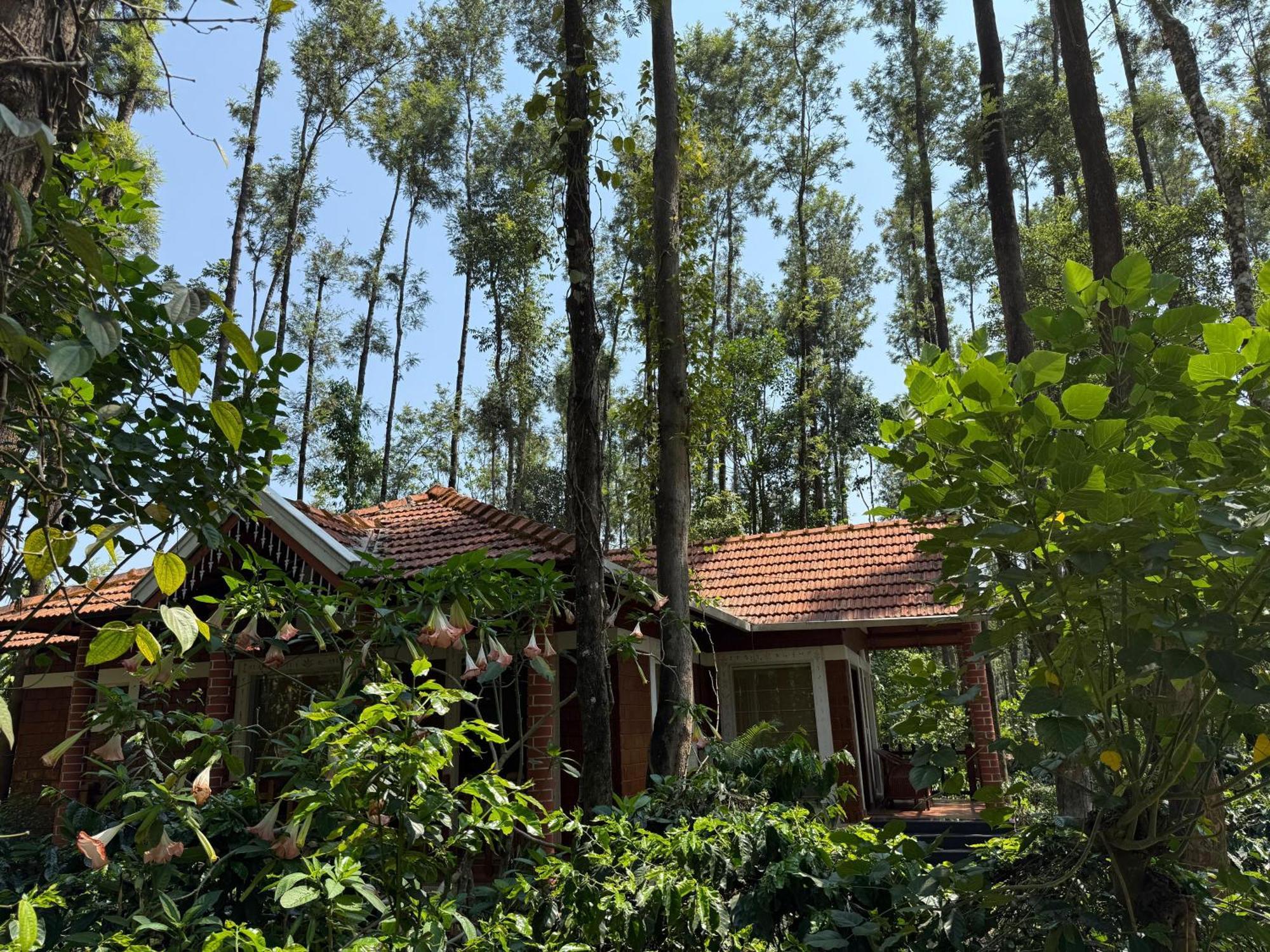 Coffee Grove Resort Chikmagalūr Exterior foto